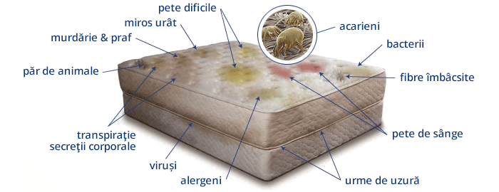 Acarieni saltea